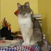 Отзыв от Алена Сомова